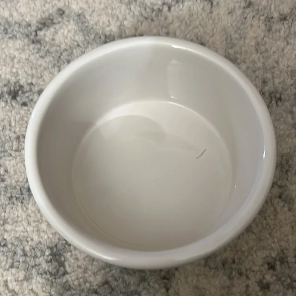 Dog Bowl